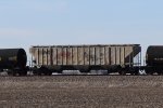 NS 257018